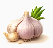 garlic